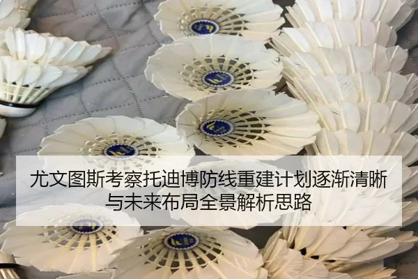 尤文图斯考察托迪博防线重建计划逐渐清晰与未来布局全景解析思路